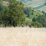 low-226